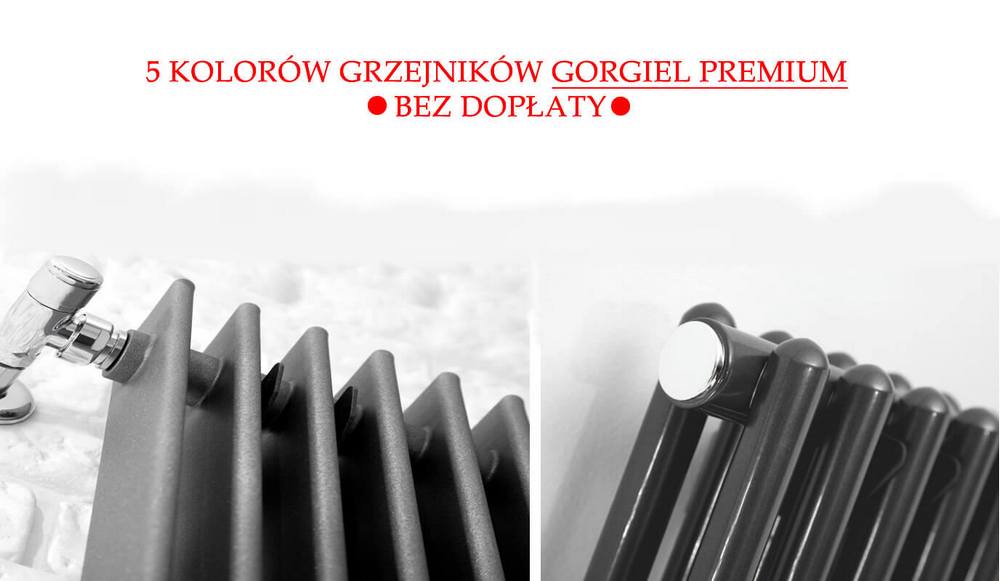 Gorgiel promocja na kolory z grupy premium